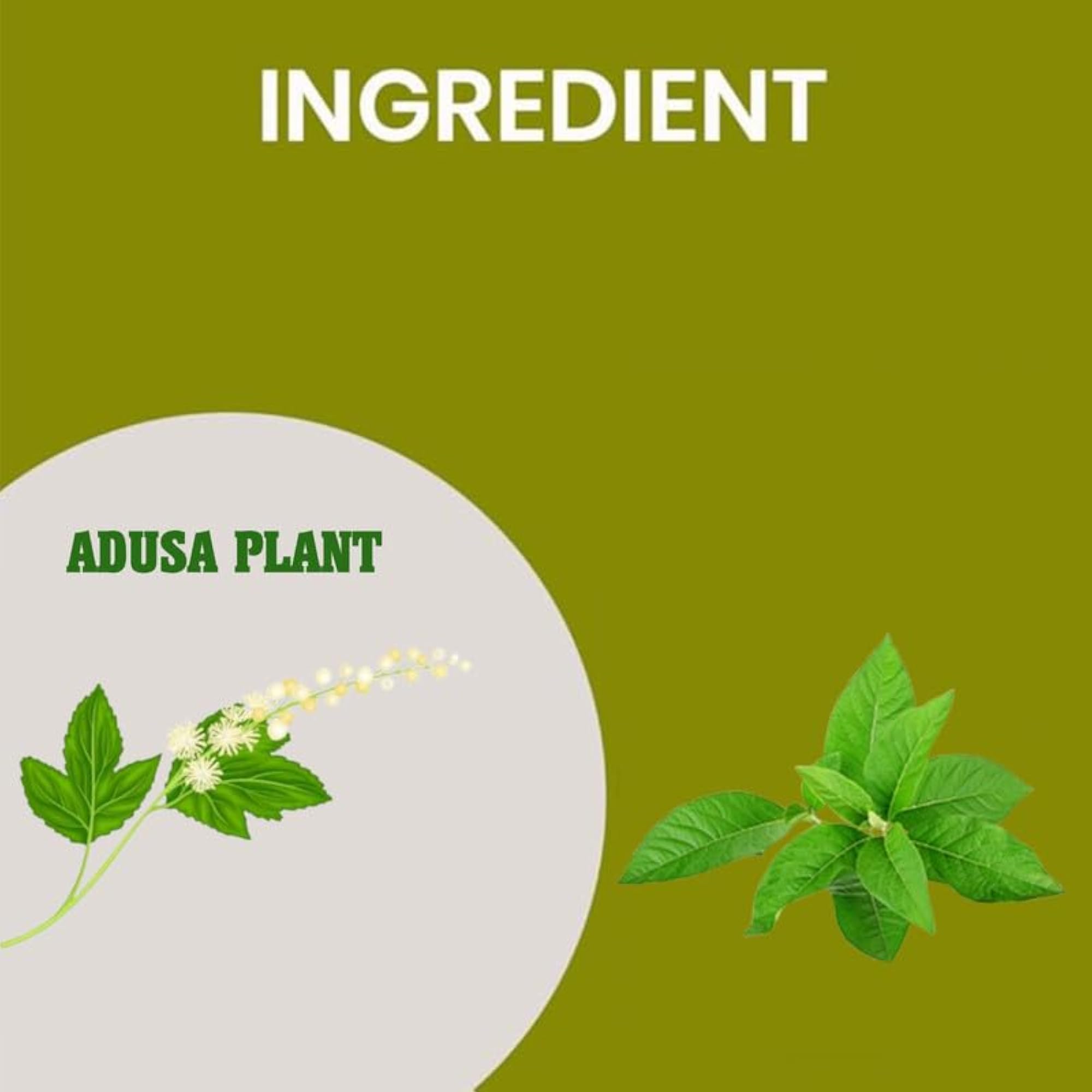 Adoosa Churna - Natural Herbal Powder